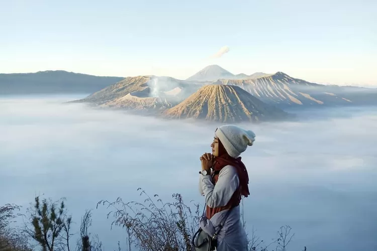 package bromo