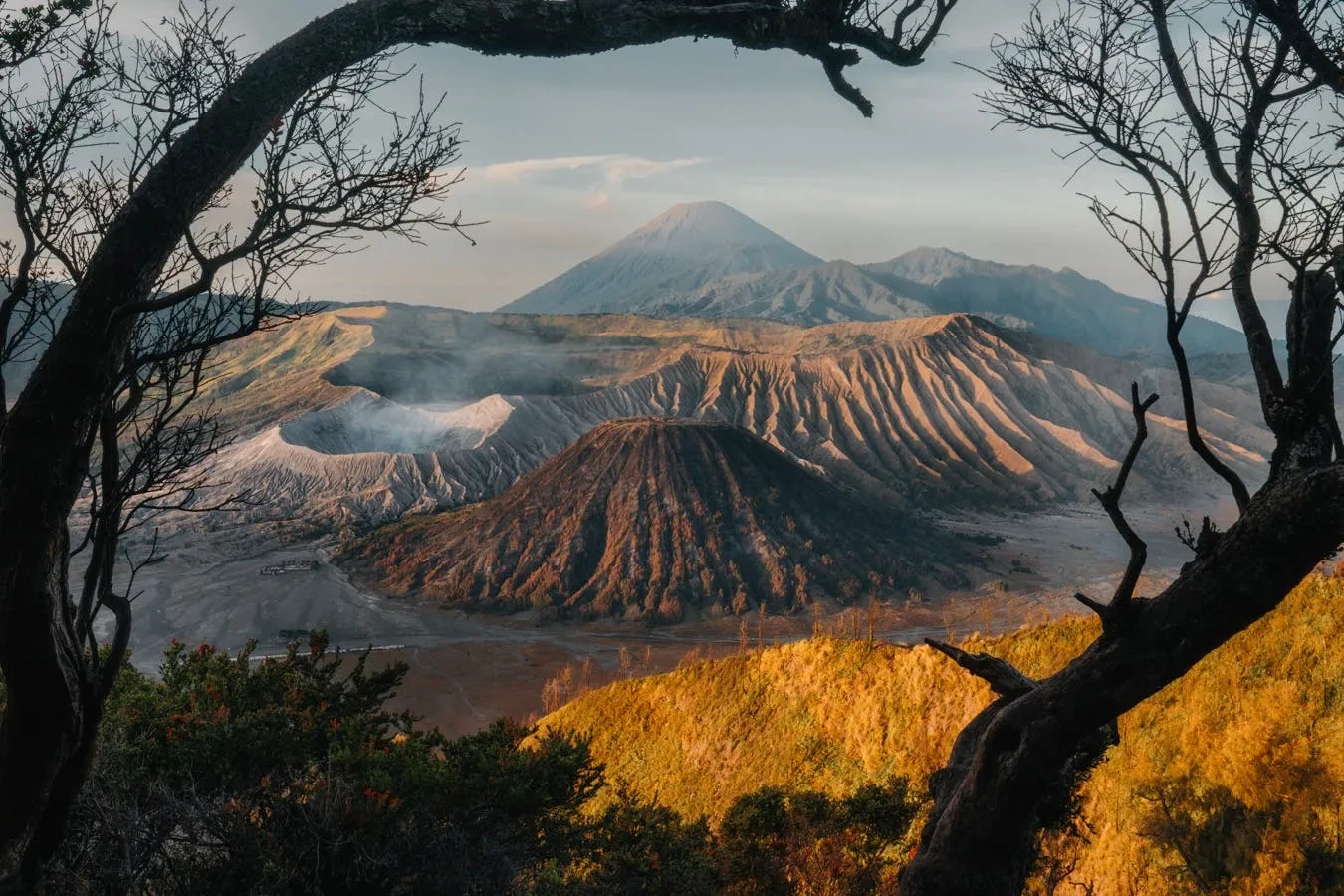 tour bromo