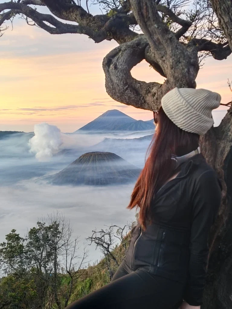Bromo Volcano Tour